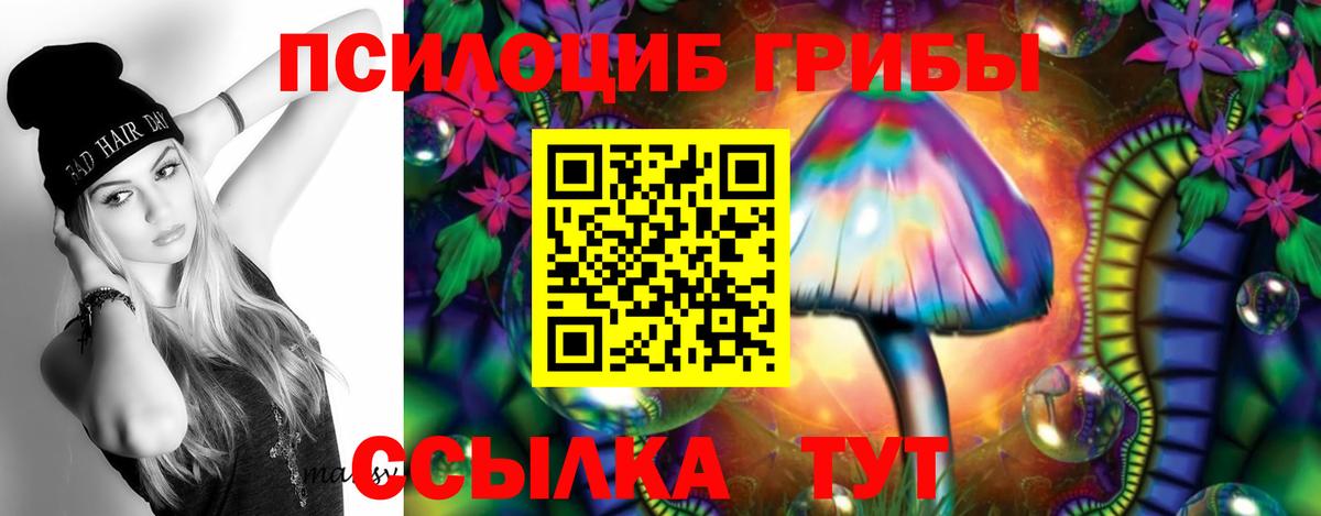 Псилоцибиновые грибы Cubensis Сорочинск